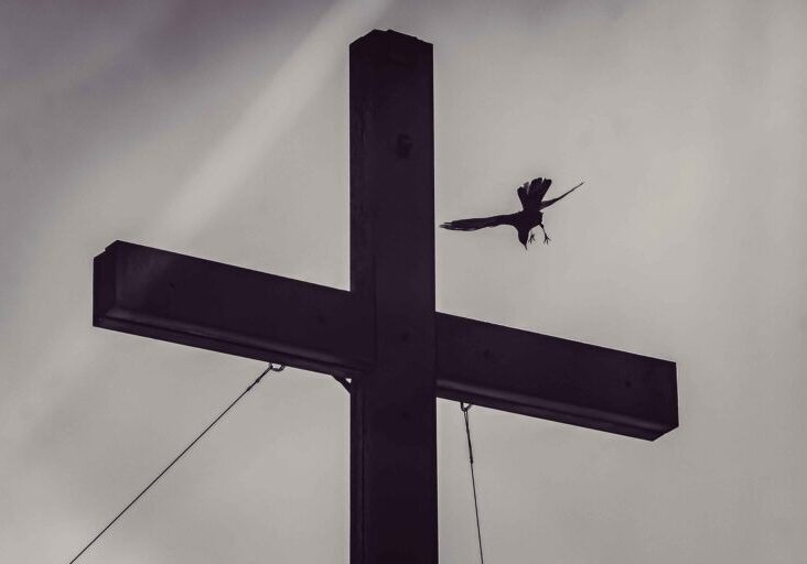 Silhouette of cross with bird flying nearby.
